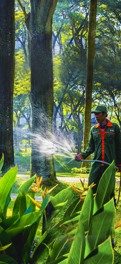 Gambar Orang Sedang Menyiram Tanaman